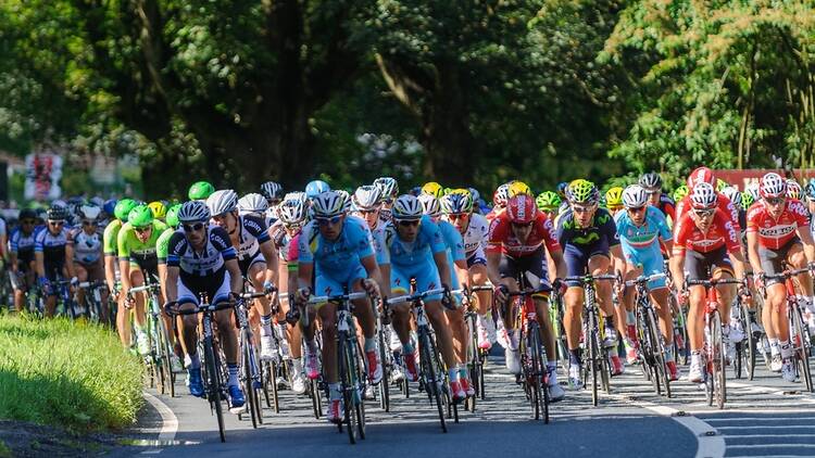 The Tour de France in Harrogate, Yorkshire in 2014