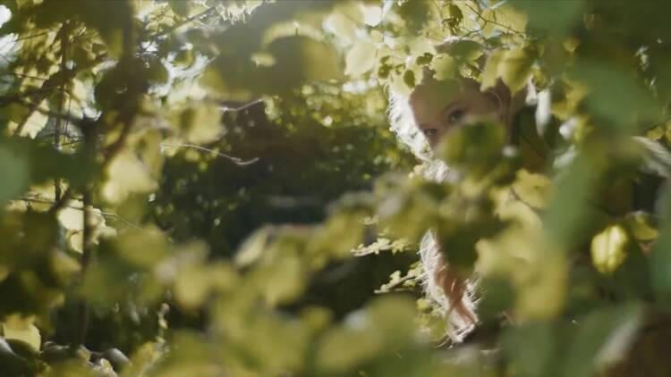 เดอะ เมจิก แฟร์อะเวย์ ทรี (The Magic faraway Tree)