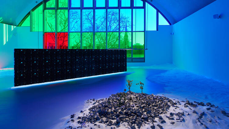 Capítulo VIII: Alucinaciones