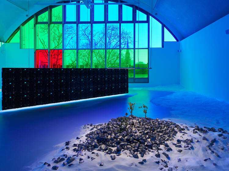 Capítulo VIII: Alucinaciones