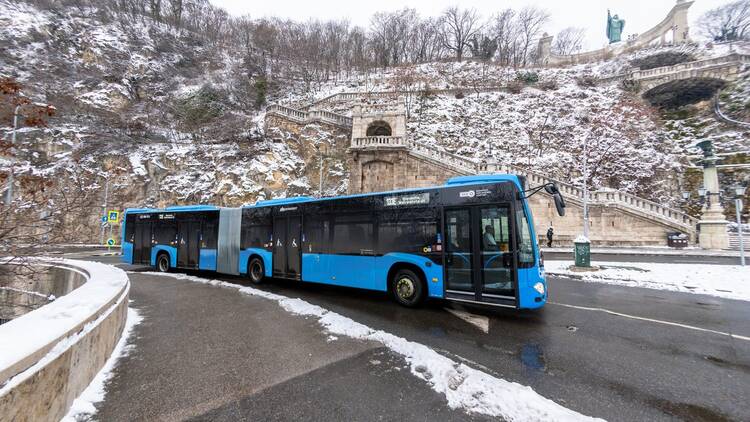 Buses & trolleybuses