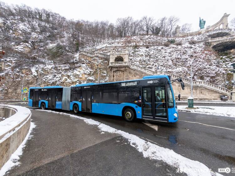 Buses & trolleybuses