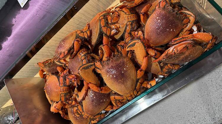 Crabs at Sydney Fish Market