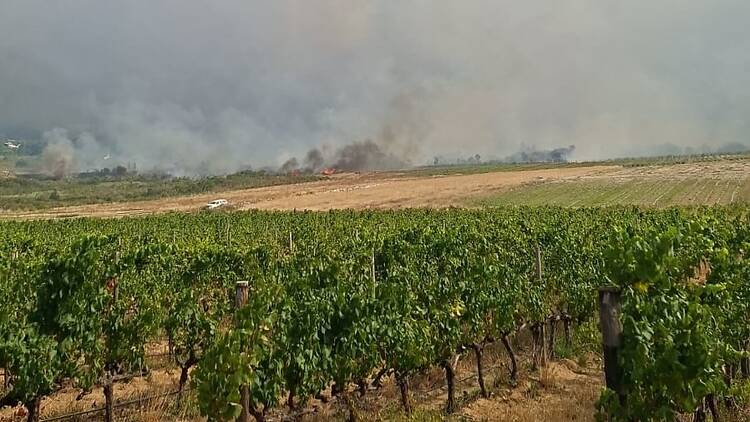 Henry Robbertse, CWDM Fire Services