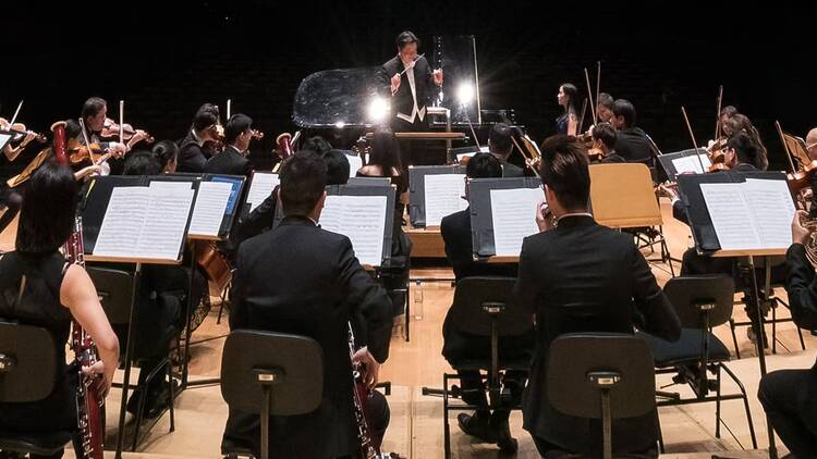 Metropolitan Festival Orchestra