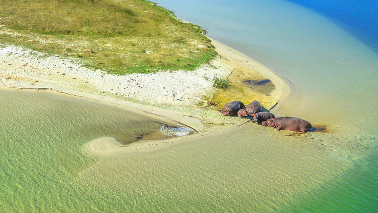 Safari holidays aplenty