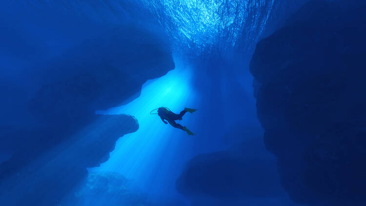 World-class dive sites