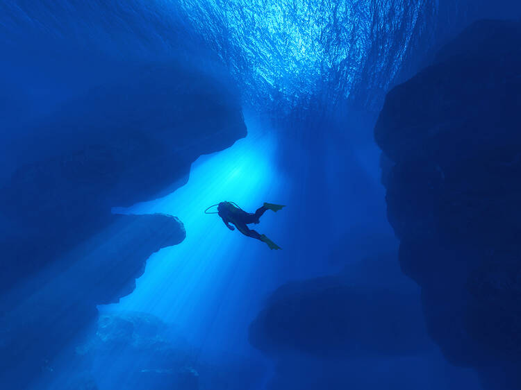 World-class dive sites