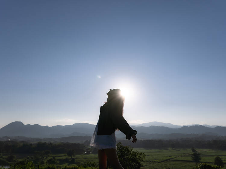 Marshmallow Restival is the festival that wants you to do less