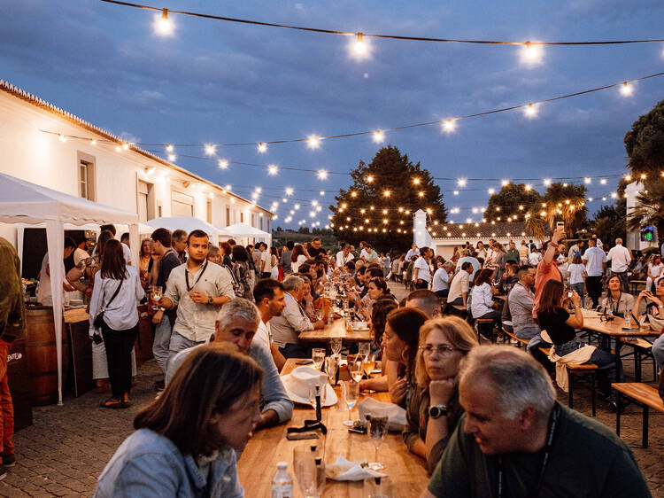 Vem aí a segunda edição do grande festival de vinho do Alentejo