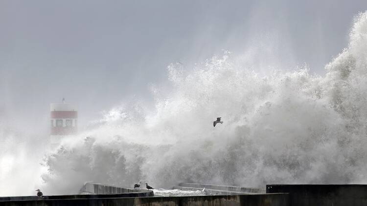 onades, temporal, alerta