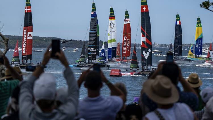 Hop aboard an Official Spectator Boat