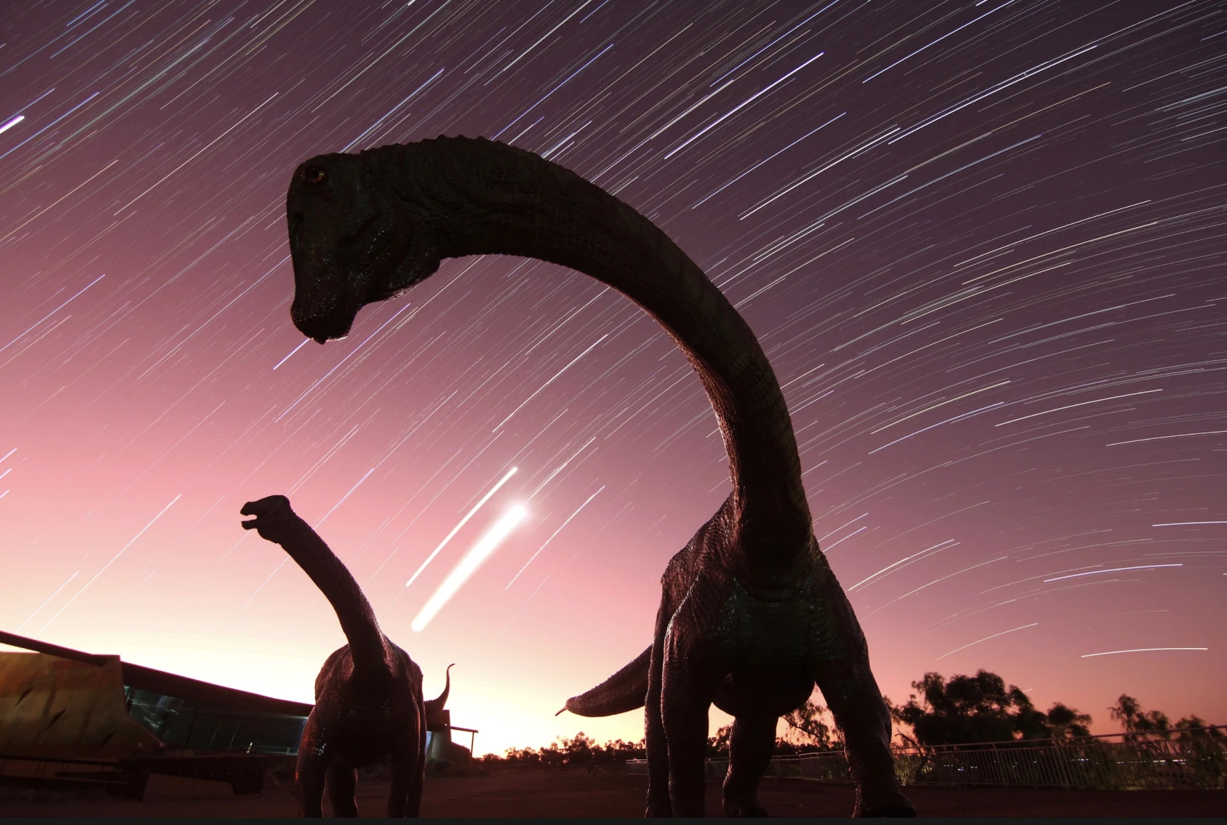 Dinosaur models in front of starry sky