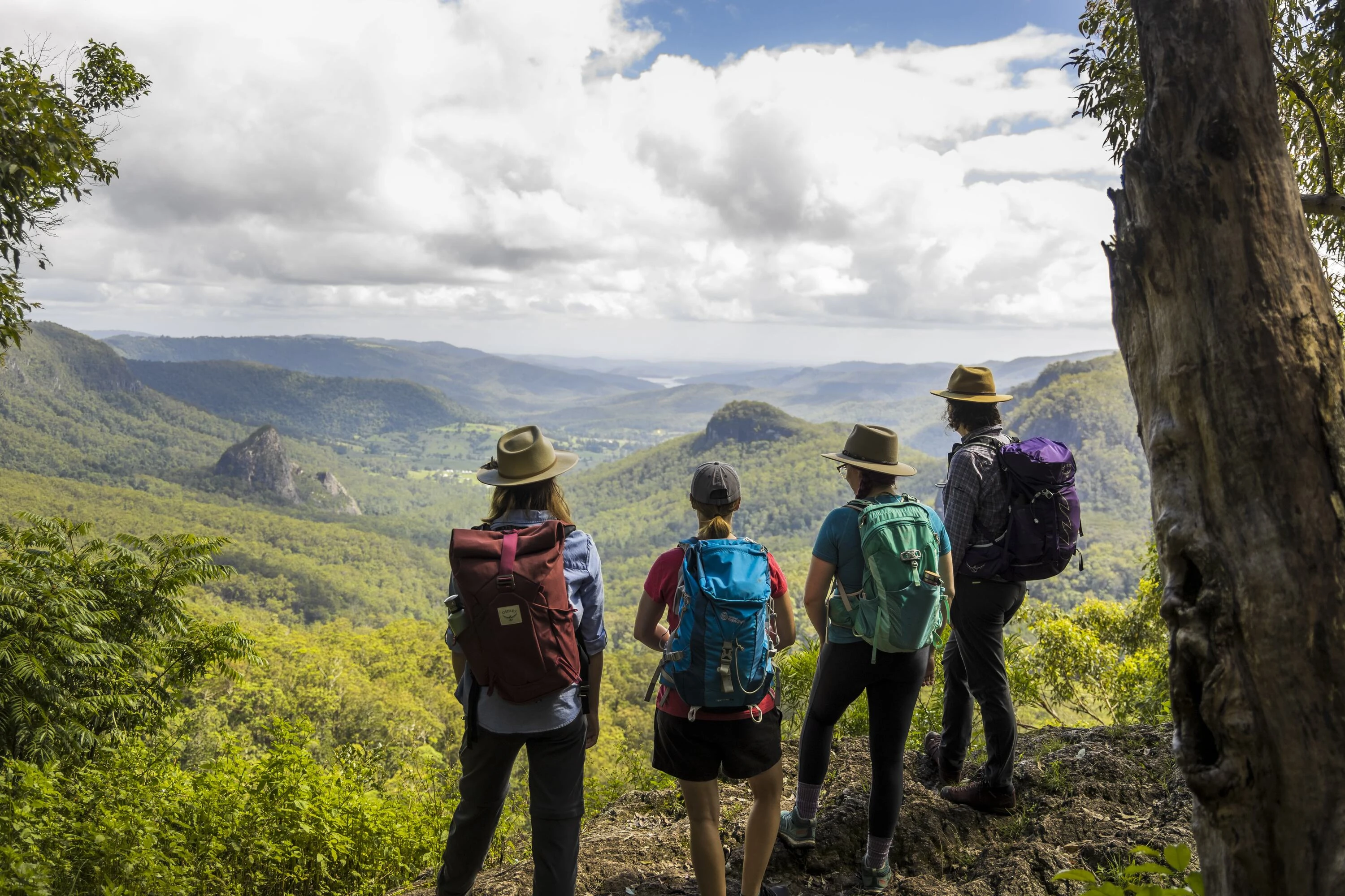 Four hikers in national park