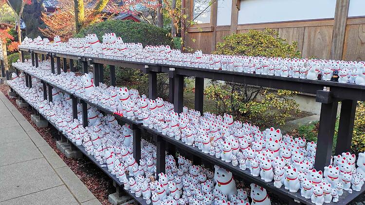 The alternative: Gotokuji Temple