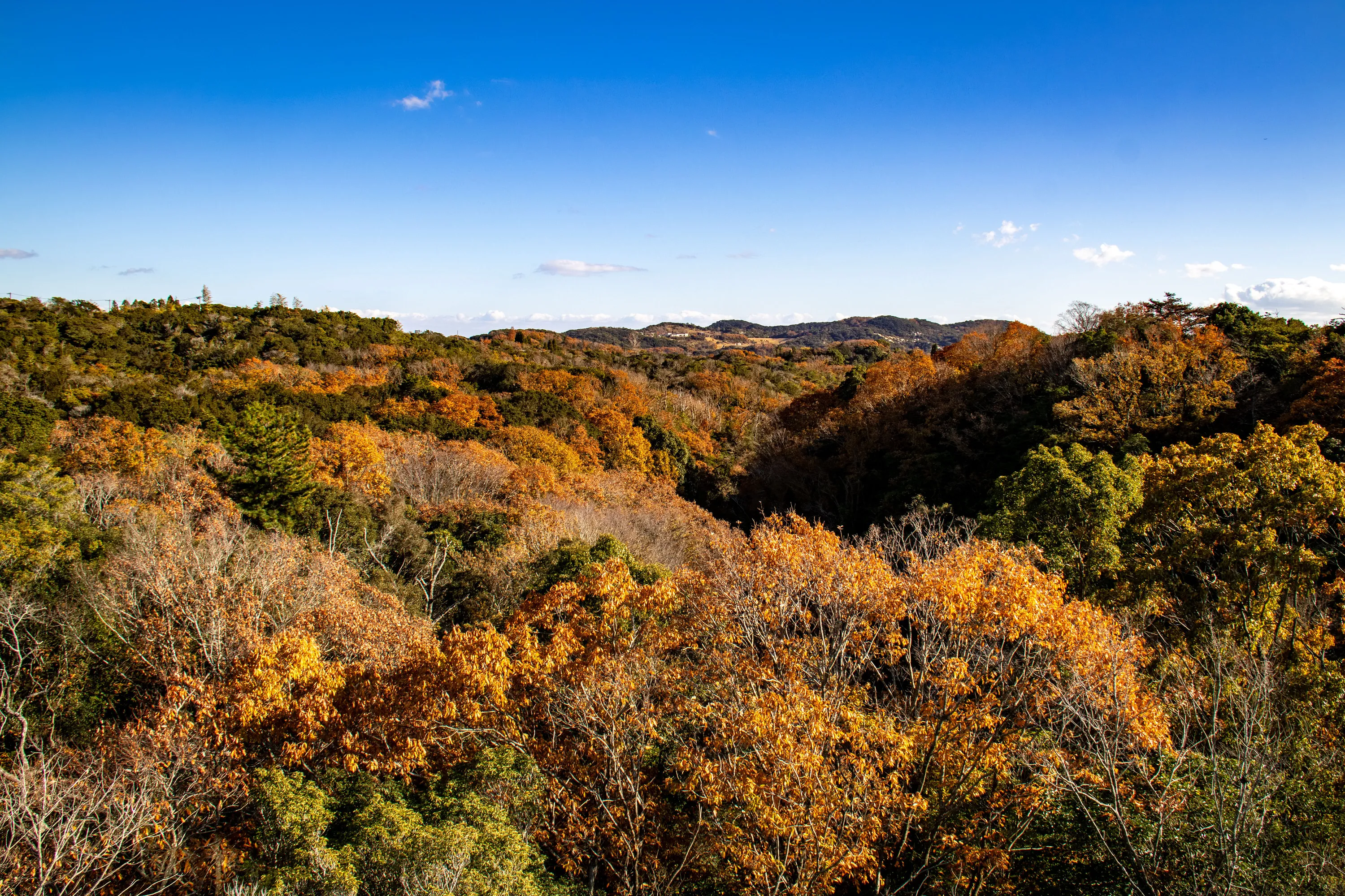 A view of the landscape on Awaji Island