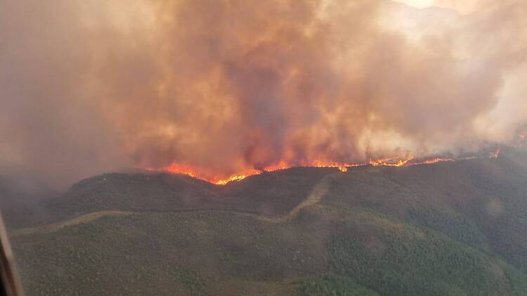 CWDM Firefighter: Henry Robbertse