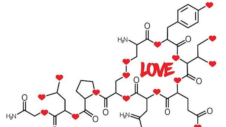 Time Out Market Cape Town