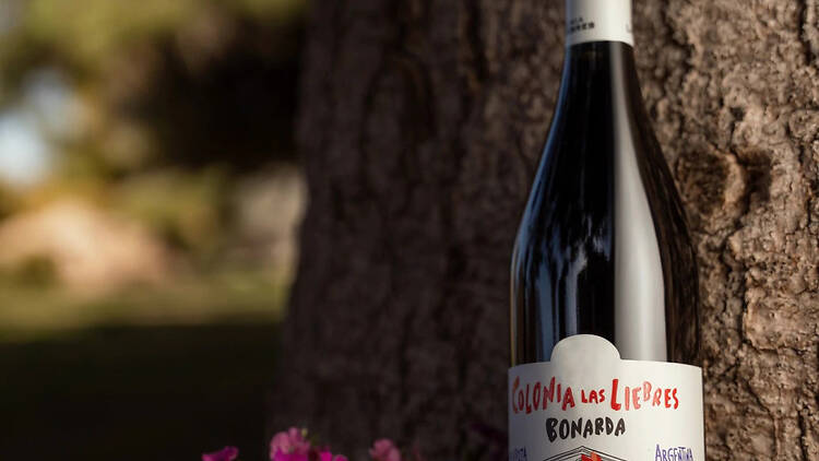 Colonia Las Liebres Bonarda de Altos Las Hormigas Colonia Las Liebres Bonarda de Altos Las Hormigas