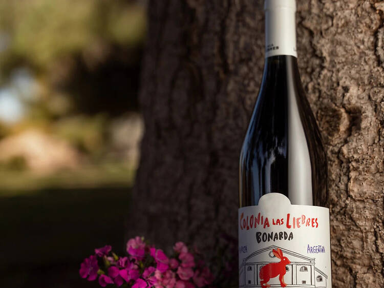 Colonia Las Liebres Bonarda de Altos Las Hormigas Colonia Las Liebres Bonarda de Altos Las Hormigas