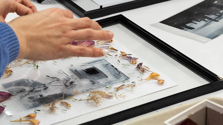 Project Luz at the Noguchi Museum