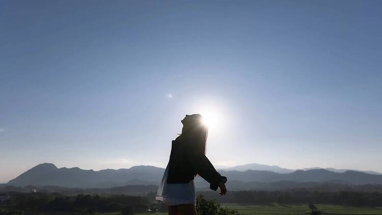 Marshmallow Restival 2026