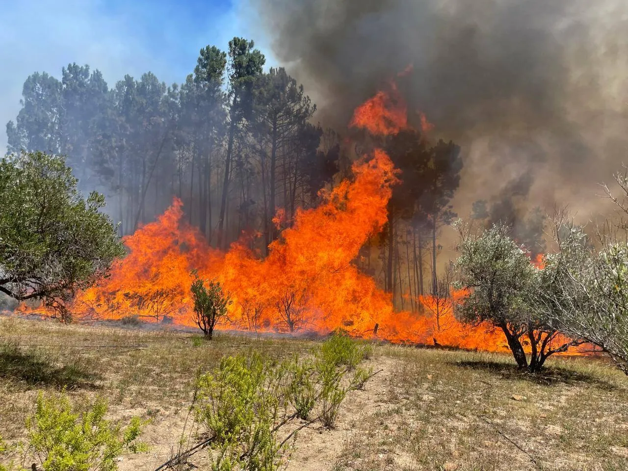 CWDM Fire Fighter &ndash; Heinrick Strumpher