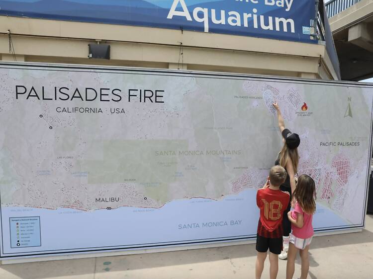 One Year Later: Community & Science Day