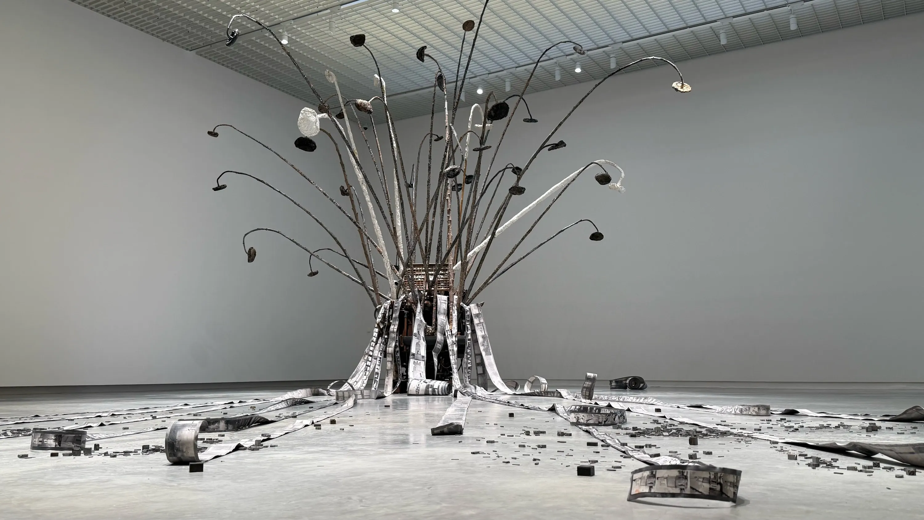 Philip Cornwel-Smith