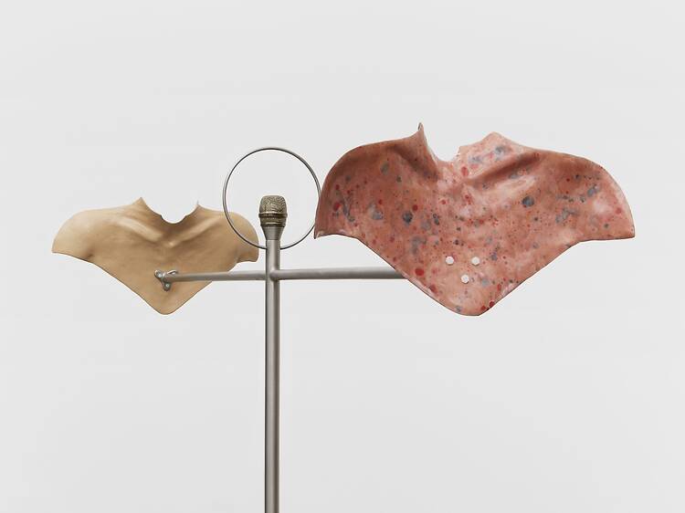 Julia Phillips: Inside, Before They Speak Julia Phillips: Inside, Before They Speak