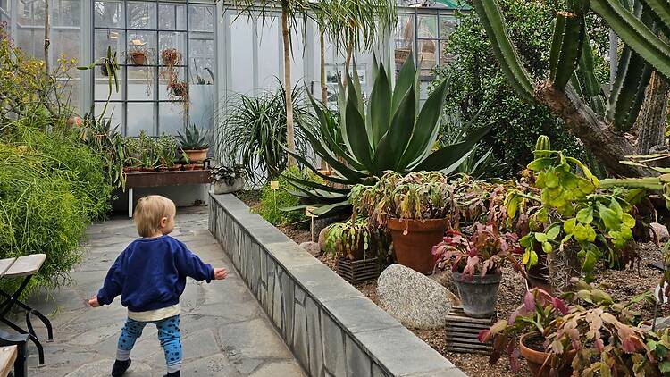 Astu trooppiseen vehreyteen Talvipuutarhassa