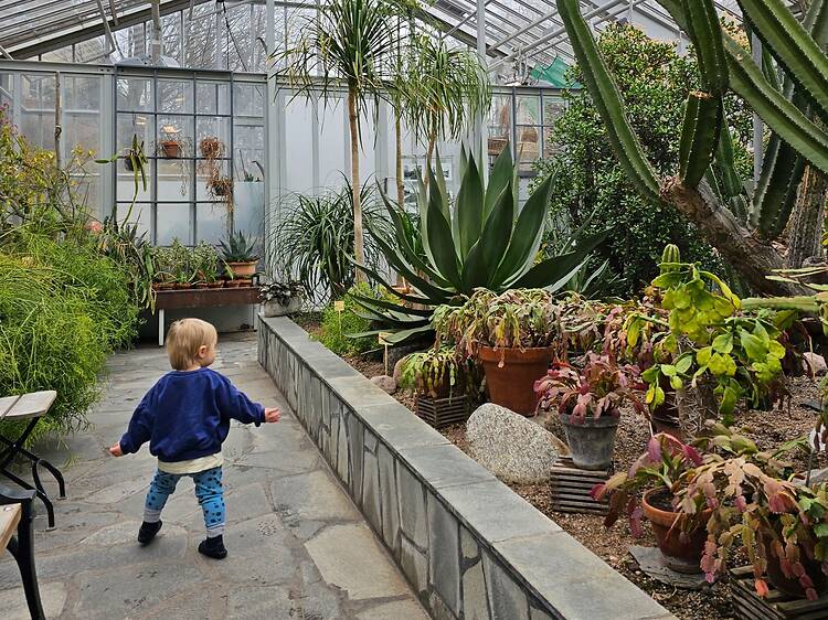 Astu trooppiseen vehreyteen Talvipuutarhassa