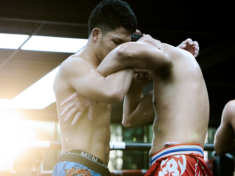 ค่ายสิงห์มาวิน (Mavinn Muay Thai) - ค่ายใหญ่ ทันสมัย และสืบสานไกลมากกว่าวัฒนธรรม