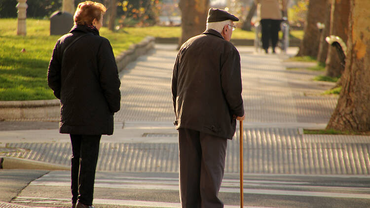 gent gran, avis gent gran, avis