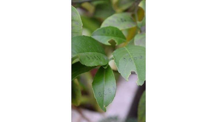 亀裂を見つめてⅢ 亀裂を見つめてⅢ