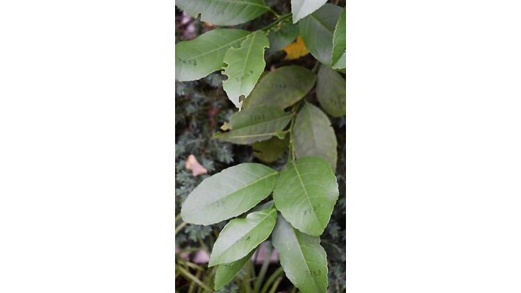 亀裂を見つめてⅢ 亀裂を見つめてⅢ