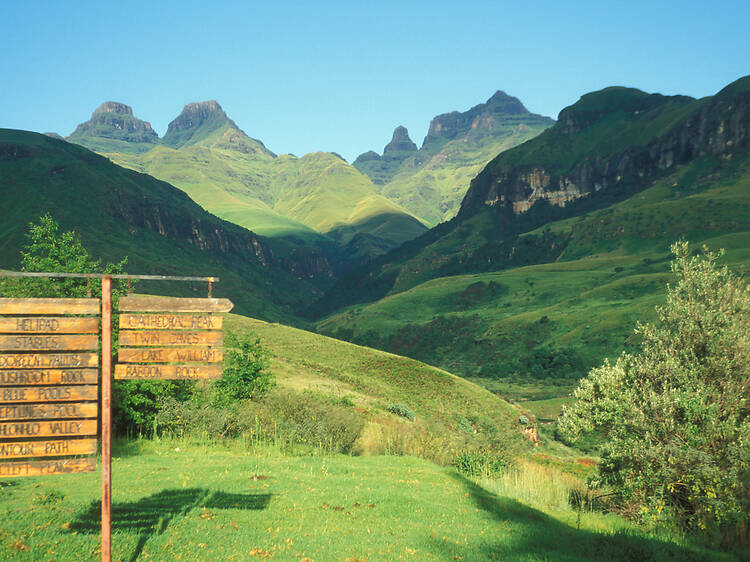 Named for the dragons