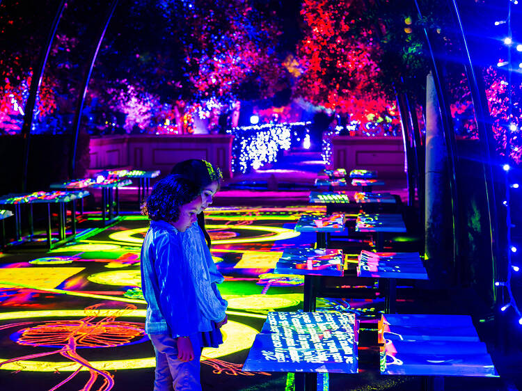 Experiencia Alicia en el País de las maravillas Experiencia Alicia en el País de las maravillas