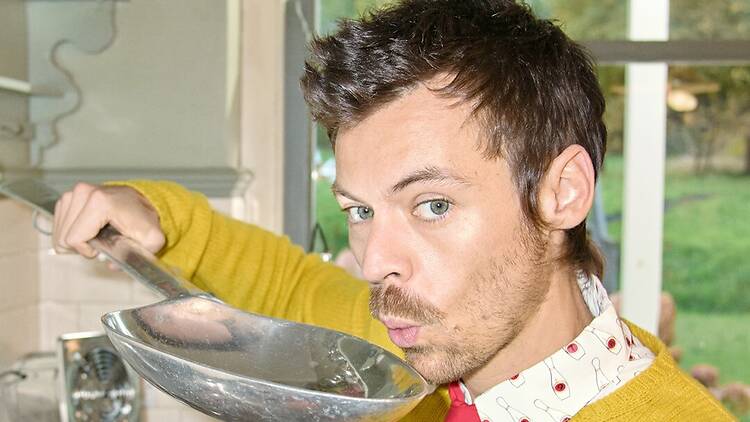 Harry Styles press photo 2026 