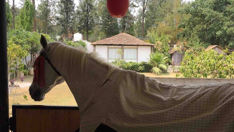 The Barn | Farm Stay in Chhatarpur