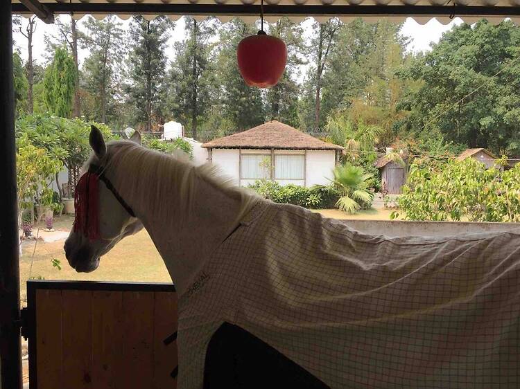 The Barn | Farm Stay in Chhatarpur