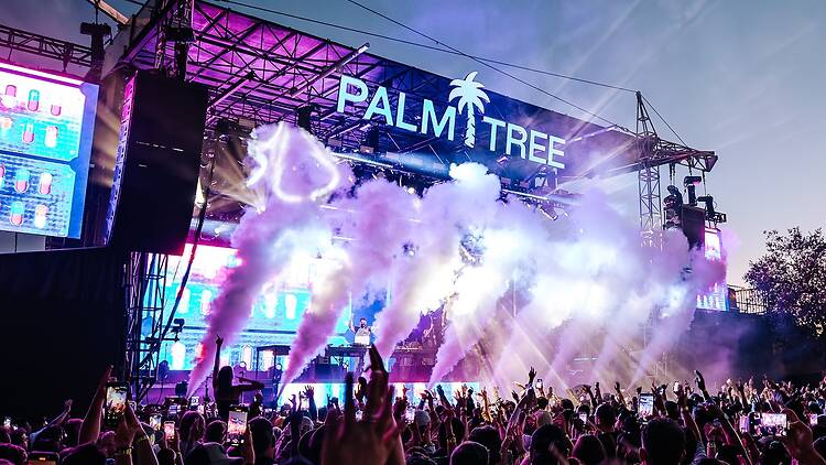 Palm Tree Festival Palm Tree Festival