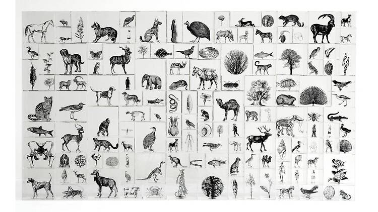 セカンド・ネイチャー - Second Nature -