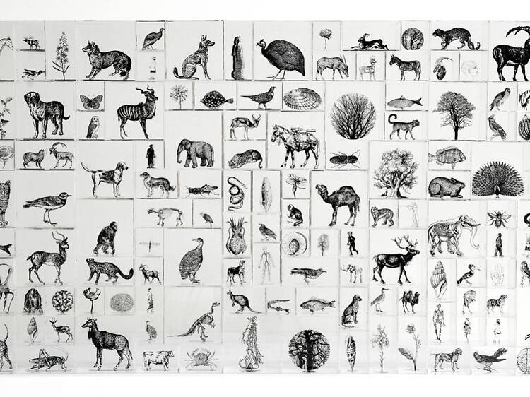 セカンド・ネイチャー - Second Nature -