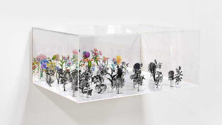 セカンド・ネイチャー - Second Nature - セカンド・ネイチャー - Second Nature -