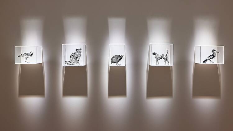 セカンド・ネイチャー - Second Nature - セカンド・ネイチャー - Second Nature -