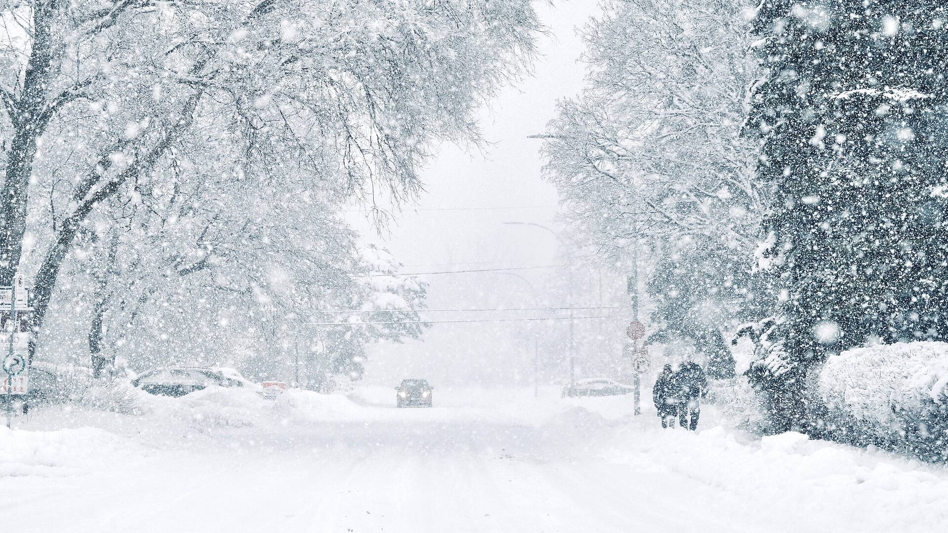 Montreal Snow Warning: Up to 20 cm Expected and Treacherous Driving ...