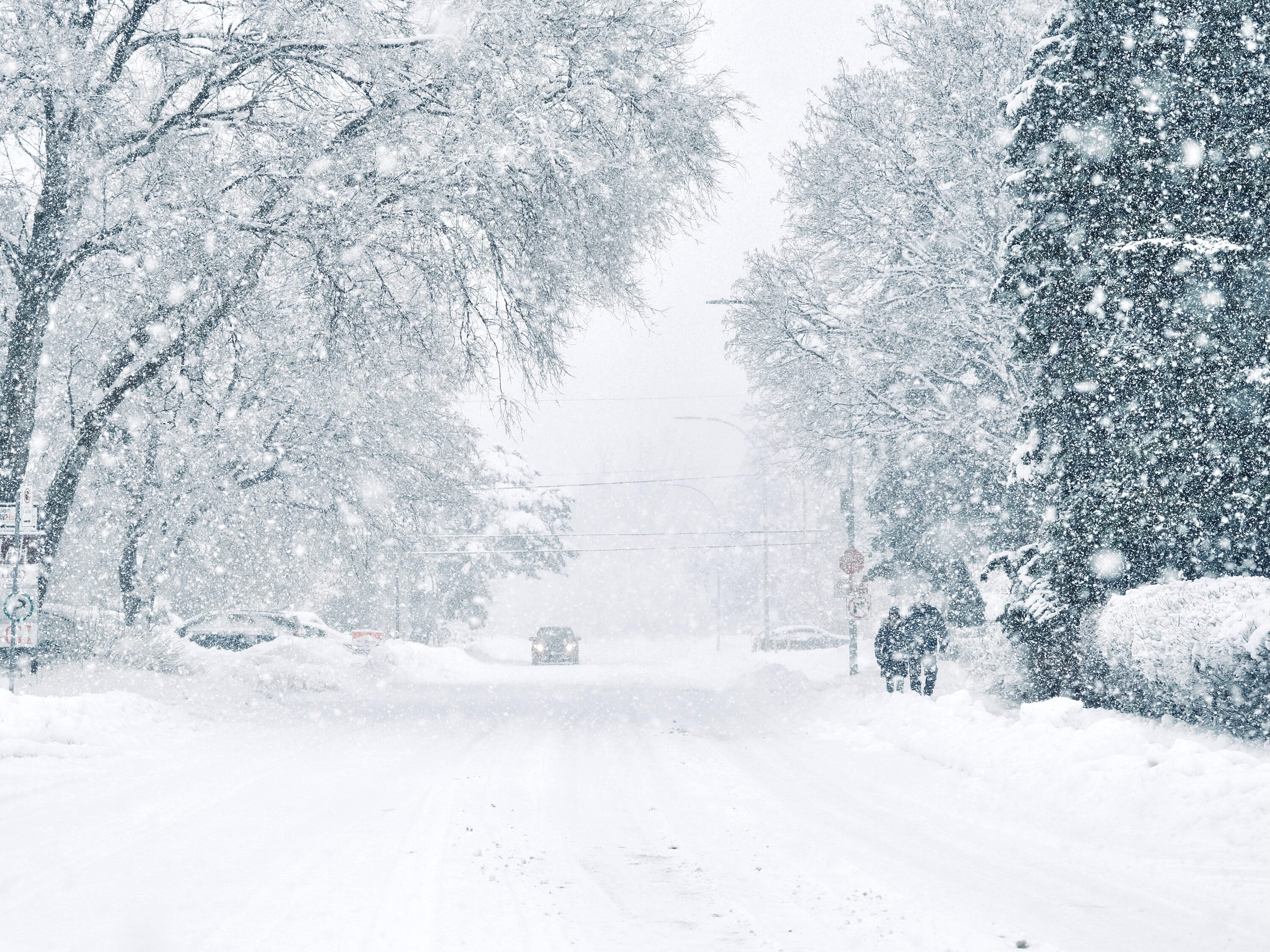 Major U.S. storm targets Montreal with up to 20 cm of snow and treacherous road conditions