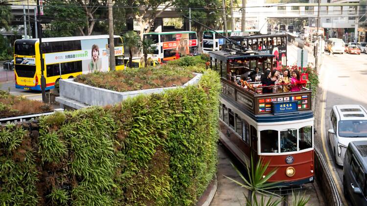 Renaissance Lunar Tram