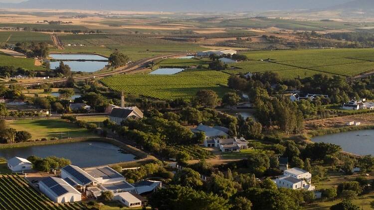 Ridgeback Wines Ridgeback Wines